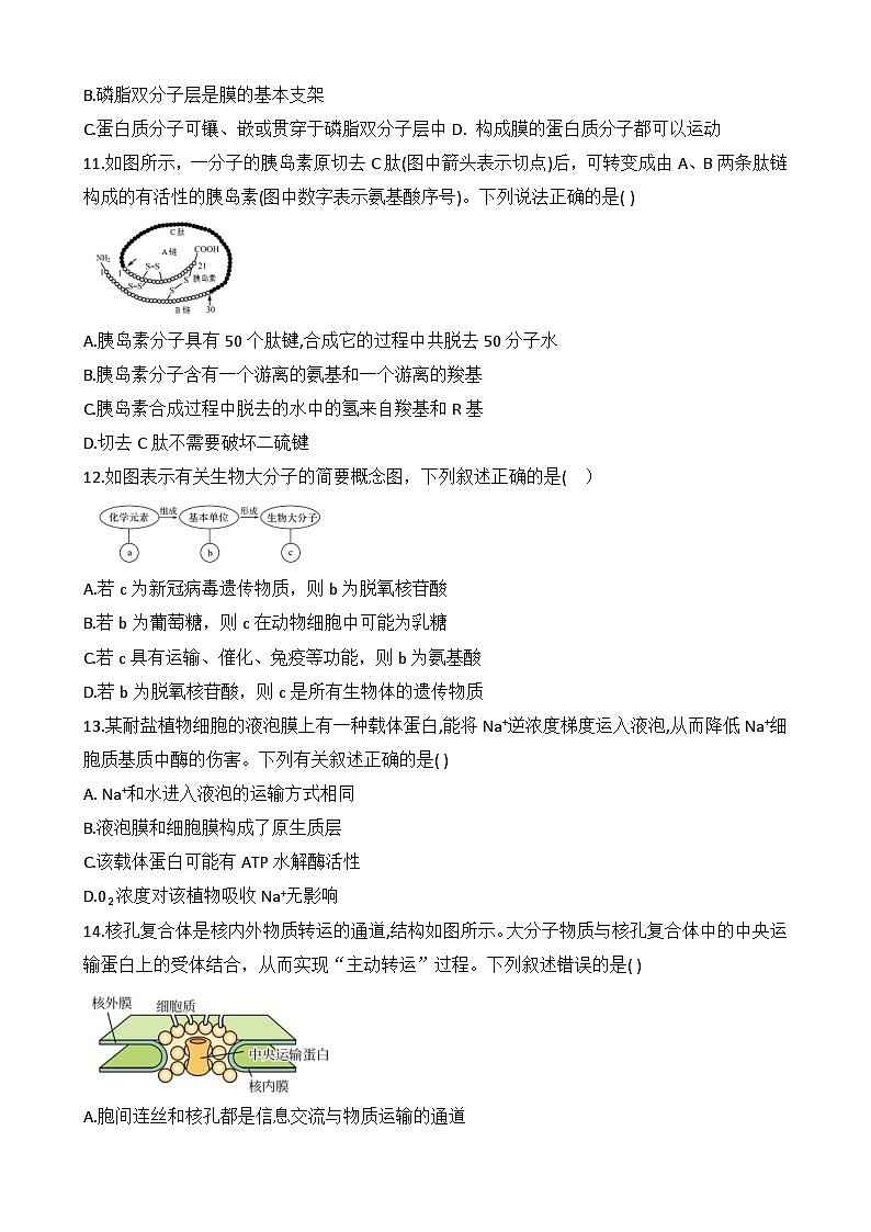 河南大学附属中学实验学校2023-2024学年高一上学期12月月考生物试卷第3页