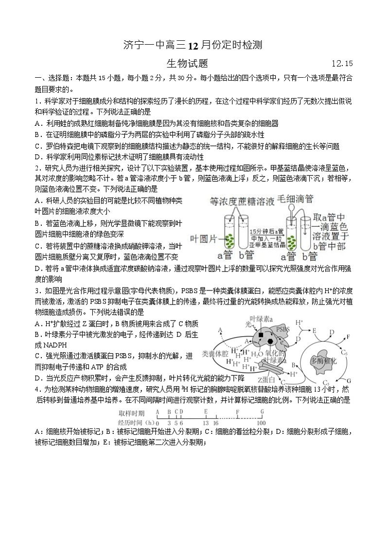 2024济宁一中高三上学期12月月考试题生物含答案01