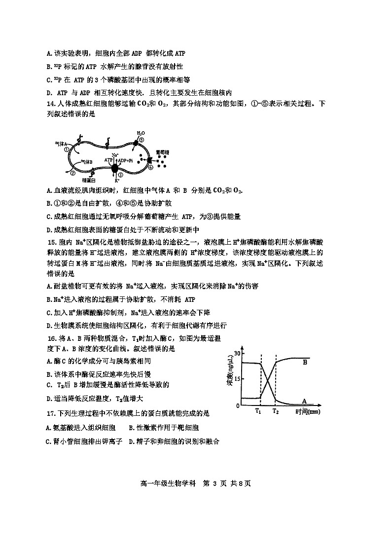 2024天津市耀华中学高一上学期12月月考试题生物含答案03