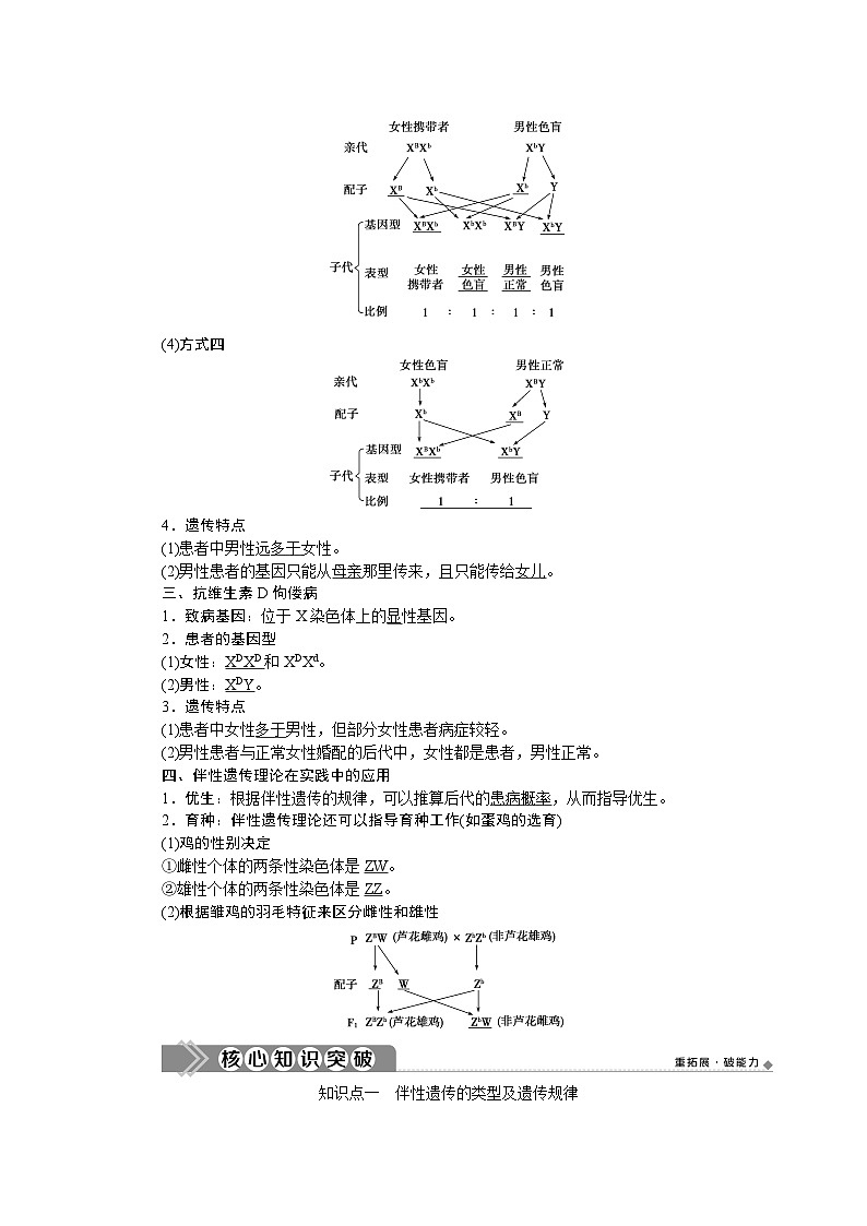 高中生物必修二《第3节 伴性遗传》教学设计2-统编人教版02