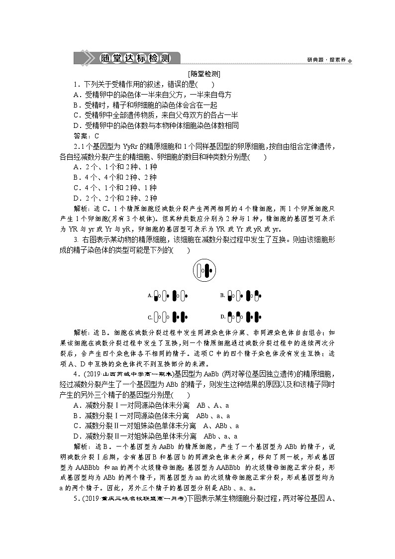 高中生物必修二《第1节 减数分裂和受精作用》课时练习2-统编人教版01