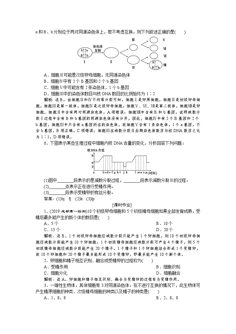 高中生物必修二《第1节 减数分裂和受精作用》课时练习2-统编人教版02