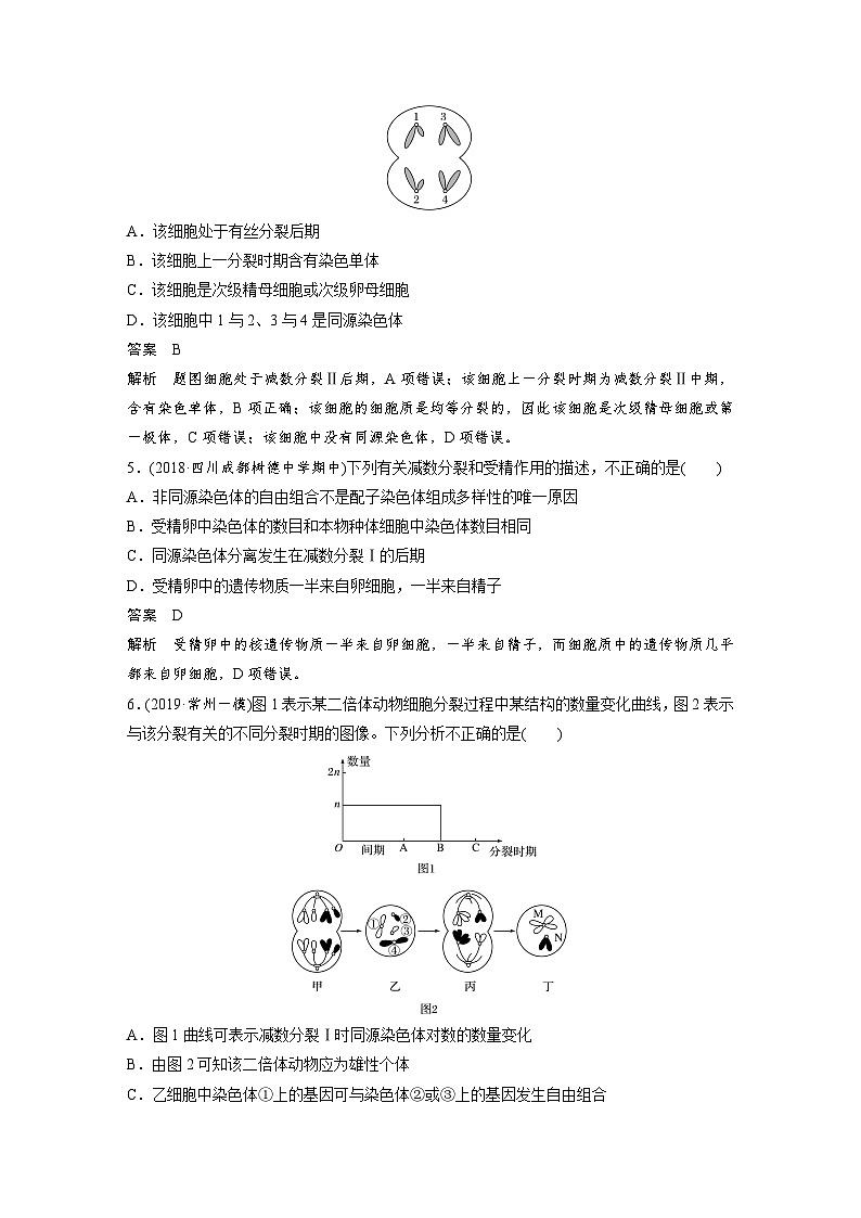 高中生物必修二第2章《本章综合与测试》课时练习-统编人教版第2页