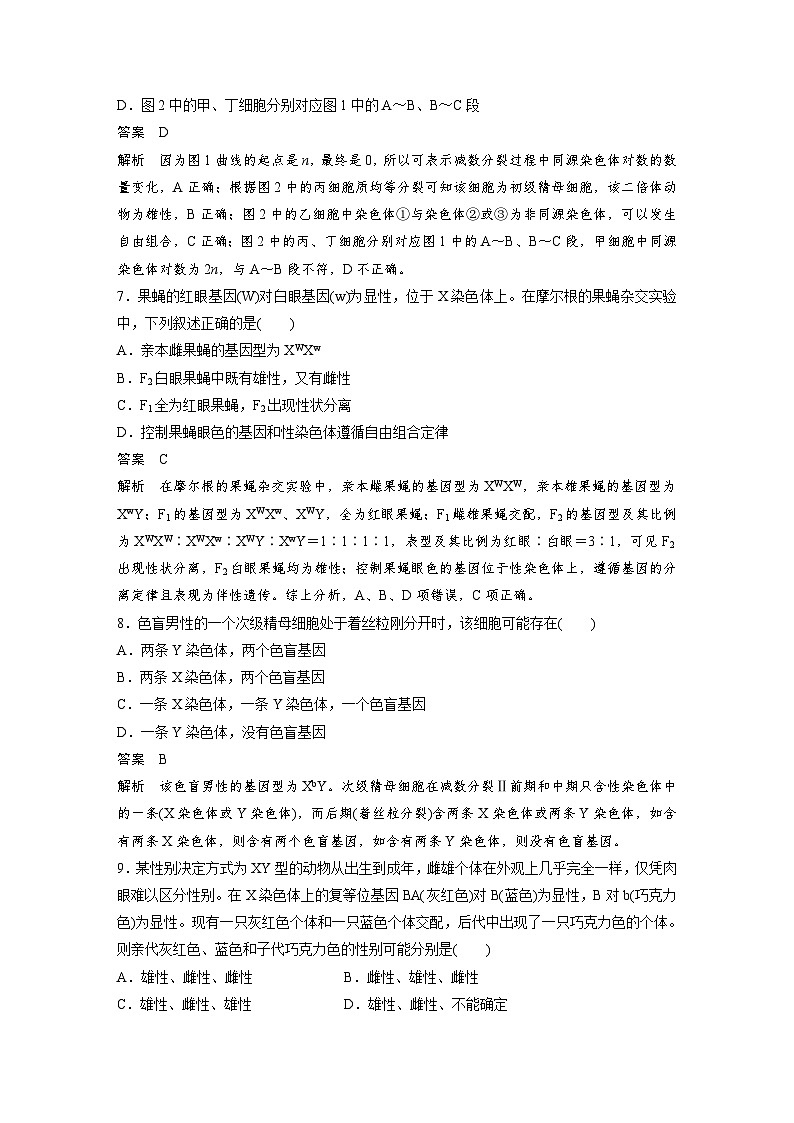 高中生物必修二第2章《本章综合与测试》课时练习-统编人教版第3页