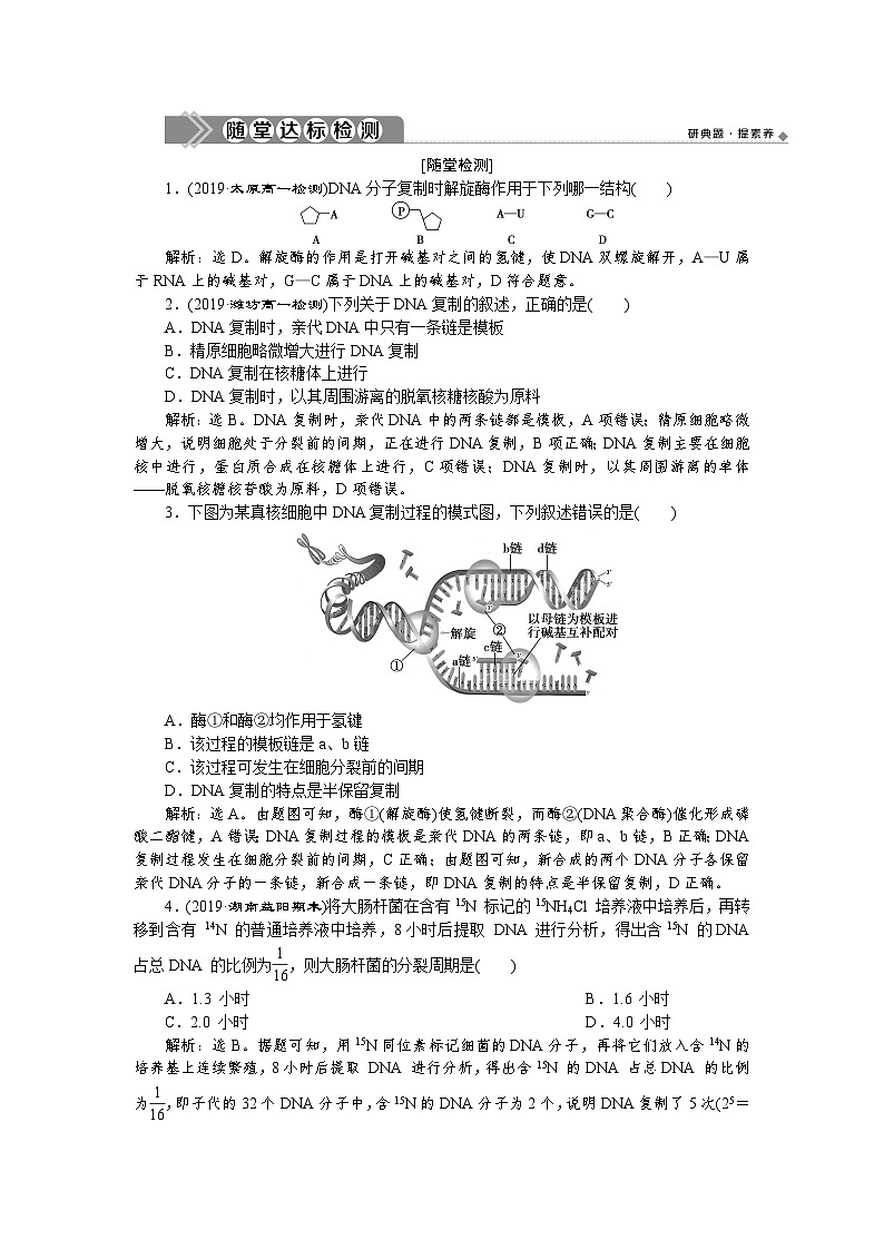 高中生物必修二《第3节 DNA的复制》随堂达标检测-统编人教版01
