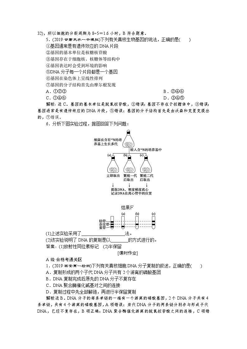 高中生物必修二《第3节 DNA的复制》随堂达标检测-统编人教版02