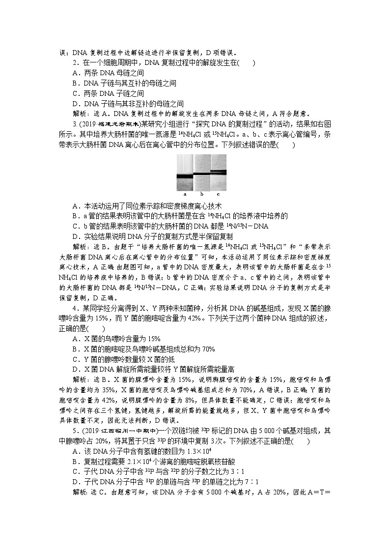 高中生物必修二《第3节 DNA的复制》随堂达标检测-统编人教版03