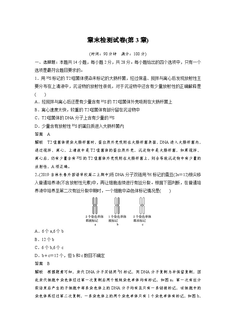 高中生物必修二第3章章末检测试卷-统编人教版第1页
