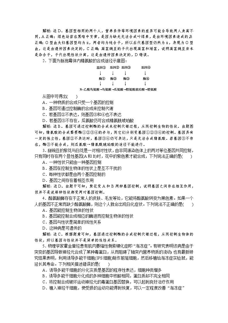 高中生物必修二《第2节 基因表达与性状的关系》随堂达标检测-统编人教版第3页