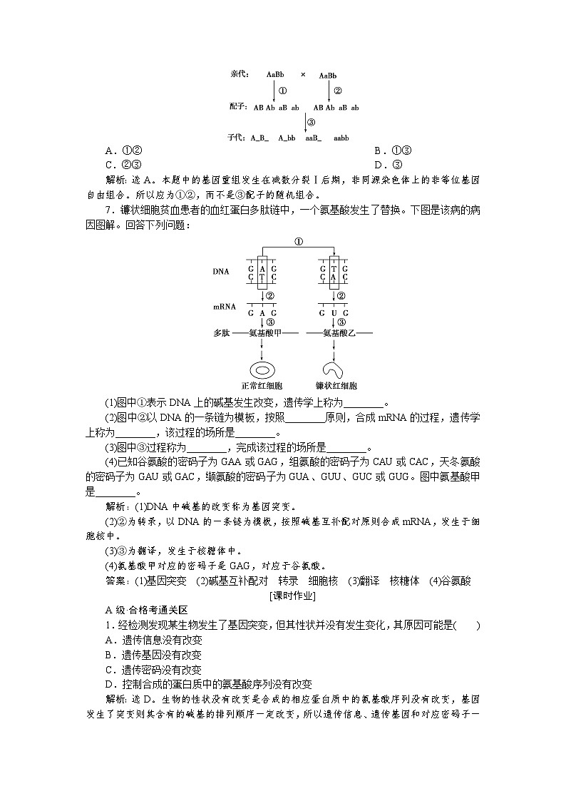 高中生物必修二《第1节 基因突变和基因重组》随堂达标检测-统编人教版第2页