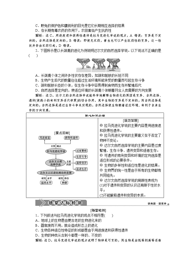 高中生物必修二《第2节 自然选择与适应的形成》教学设计2-统编人教版03