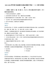 四川省成都市双流棠湖中学2023-2024学年高一上学期期中生物试题（Word版附解析）