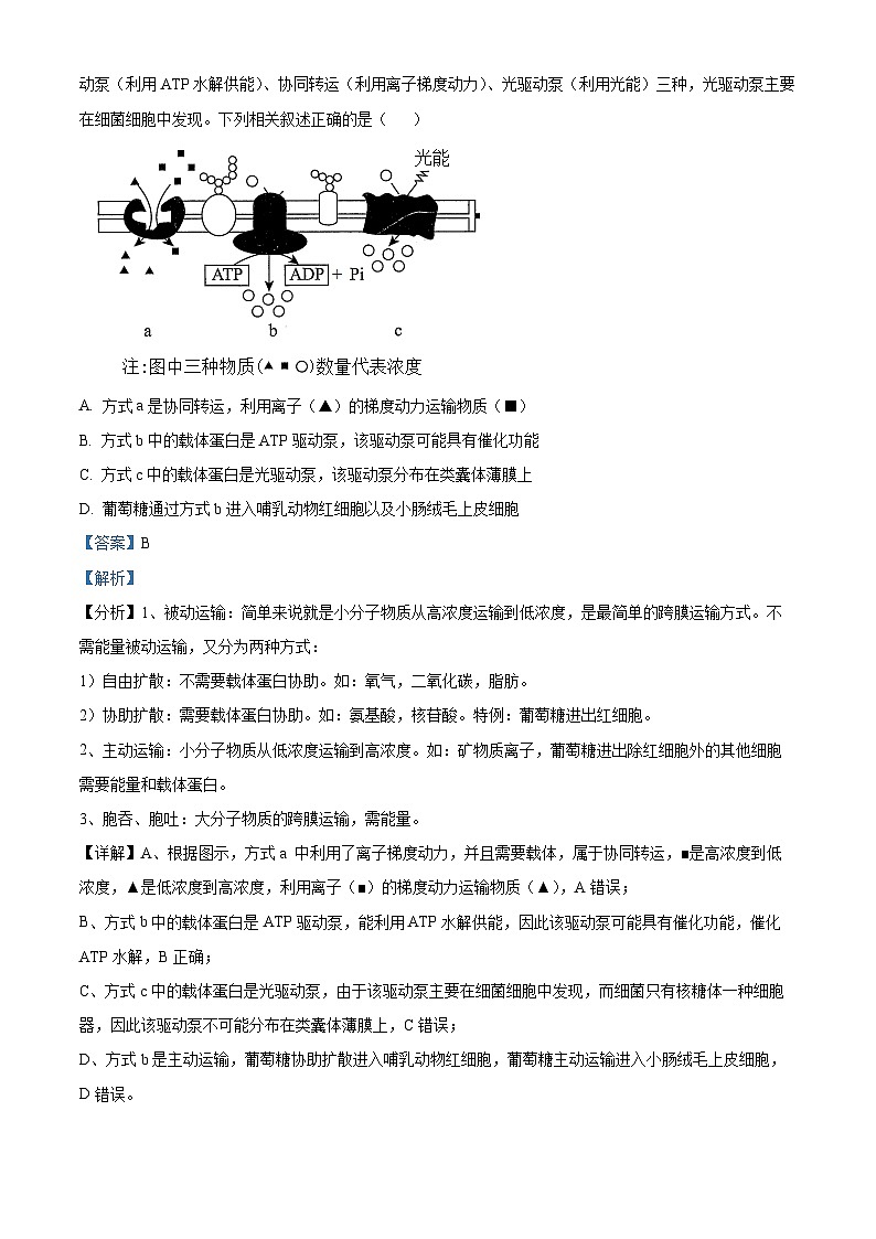 四川省成都市双流棠湖中学2023-2024学年高三上学期第一次联考生物试题（Word版附解析）第2页