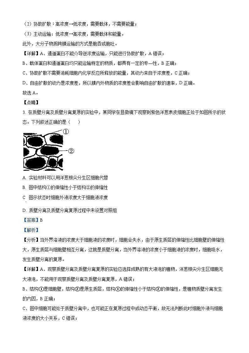 四川省合江县马街中学2023-2024学年高三上学期一诊模拟考试生物试题（Word版附解析）第2页