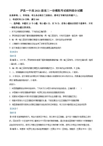 四川省泸州市泸县第一中学2023-2024学年高三上学期一诊模拟生物试题（Word版附解析）