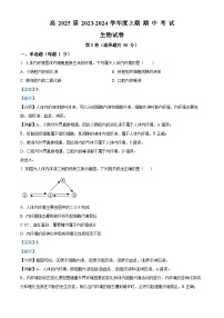 四川省眉山市仁寿一中北校区2023-2024学年高二上学期11月期中生物试题（Word版附解析）