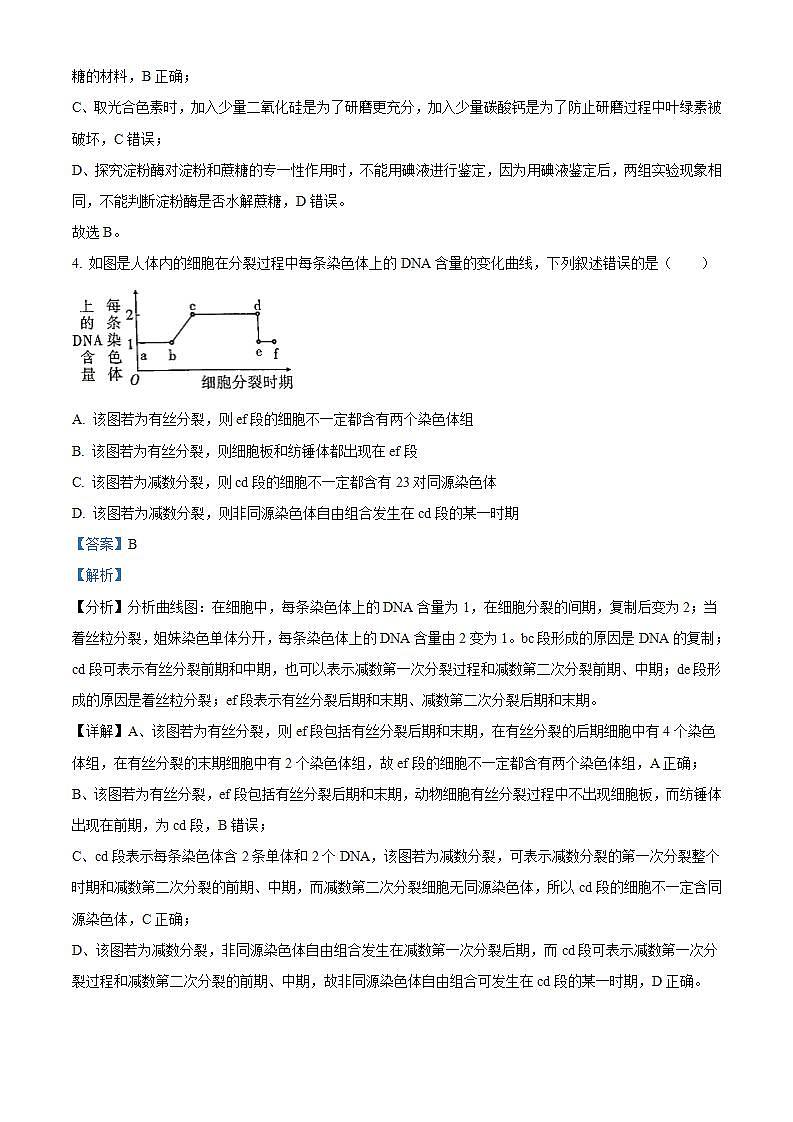 四川省宜宾市第四中学2023-2024学年高三上学期一诊模拟考试生物试题（Word版附解析）03
