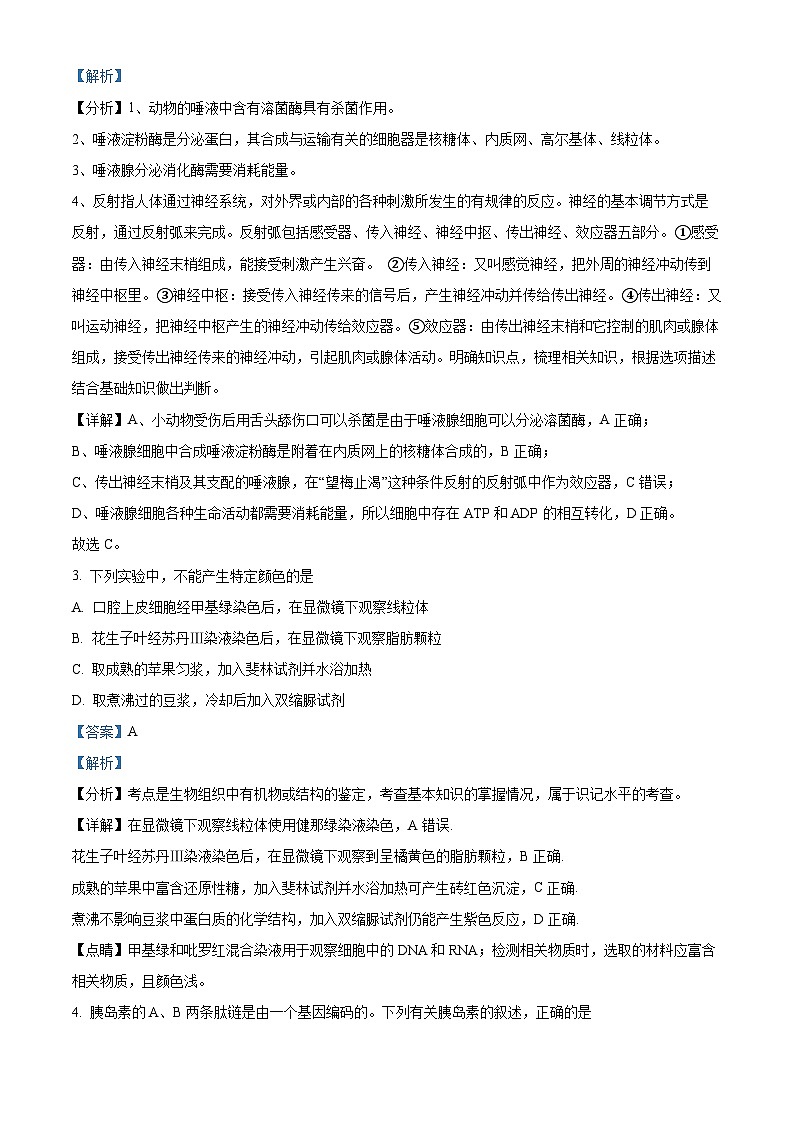 四川省宜宾市叙州区第二中学2023-2024学年高三上学期一诊模拟考试生物试题（Word版附解析）02