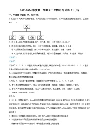 新疆石河子第一中学2023-2024学年高三上学期11月月考生物试题（Word版附解析）