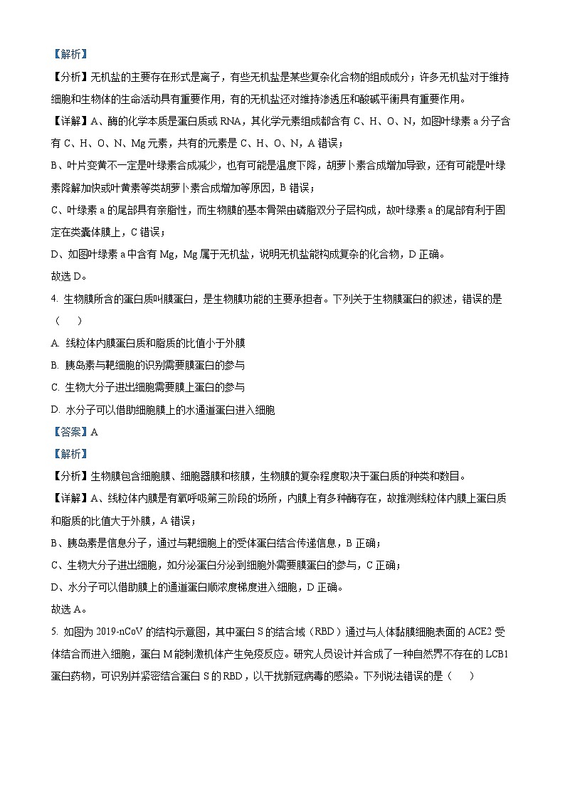 新疆石河子第一中学2023-2024学年高三上学期11月月考生物试题（Word版附解析）03