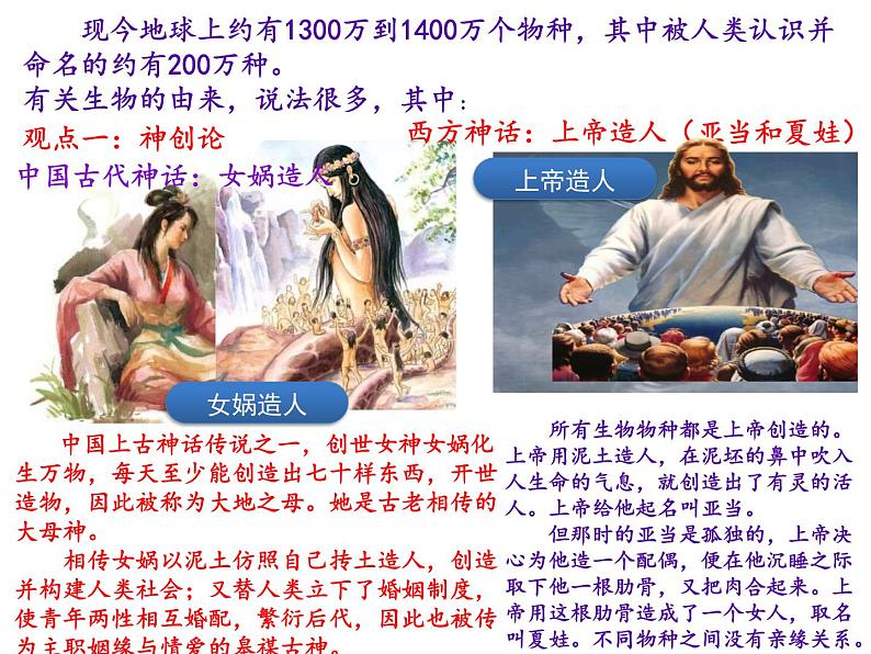 人教版高中生物必修二6.1生物有共同祖先的证据课件+同步分层练习（含答案解析）05