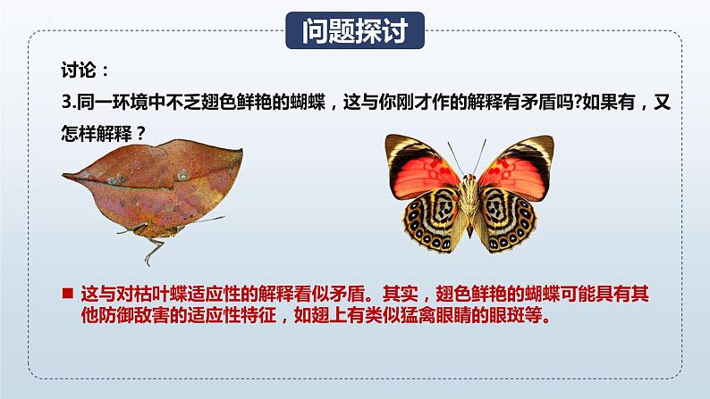 人教版高中生物必修二6.2自然选择与适应的形成课件.pptx第7页