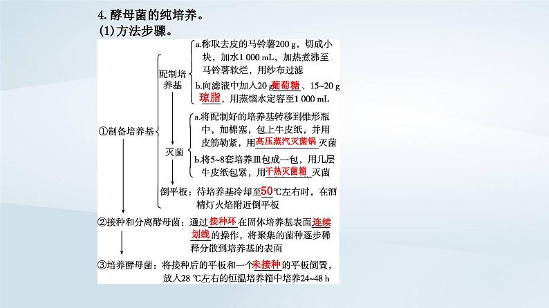 新教材同步辅导2023年高中生物第1章发酵工程第2节微生物的培养技术及应用第1课时微生物的基本培养技术课件新人教版选择性必修3第8页