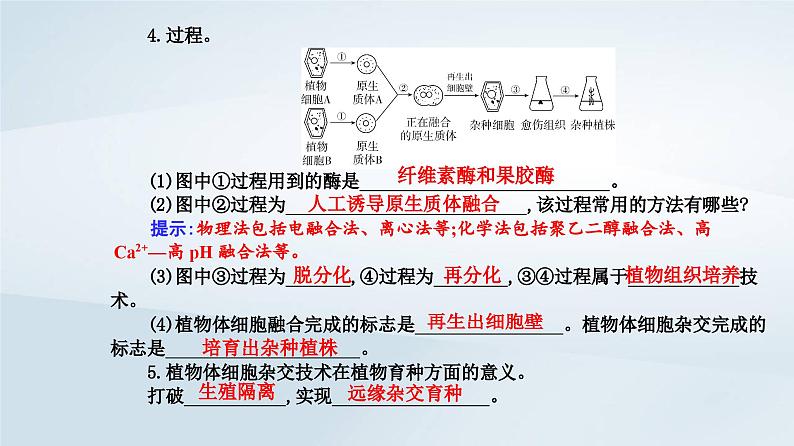 新教材同步辅导2023年高中生物第2章细胞工程第1节植物细胞工程第1课时植物细胞工程的基本技术课件新人教版选择性必修306