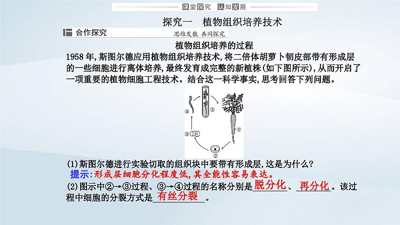 新教材同步辅导2023年高中生物第2章细胞工程第1节植物细胞工程第1课时植物细胞工程的基本技术课件新人教版选择性必修307