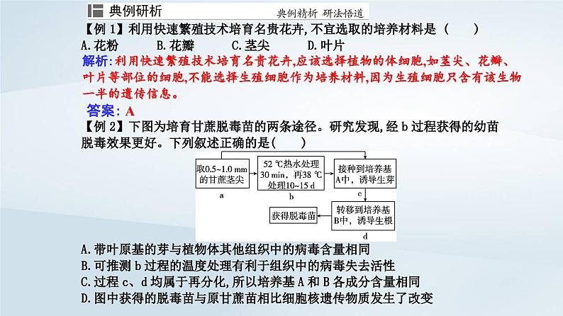 新教材同步辅导2023年高中生物第2章细胞工程第1节植物细胞工程第2课时植物细胞工程的应用课件新人教版选择性必修308