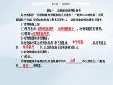 新教材同步辅导2023年高中生物第2章细胞工程第2节动物细胞工程第1课时动物细胞培养课件新人教版选择性必修3