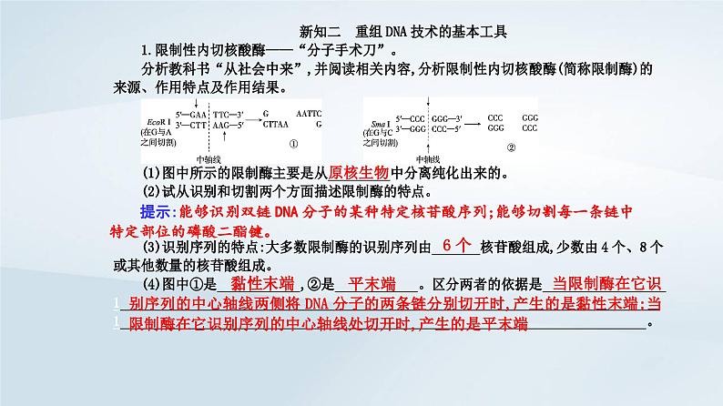 新教材同步辅导2023年高中生物第3章基因工程第1节重组DNA技术的基本工具课件新人教版选择性必修305