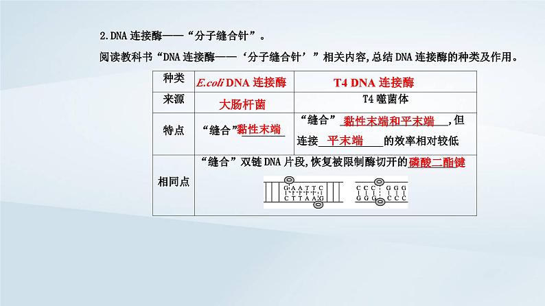 新教材同步辅导2023年高中生物第3章基因工程第1节重组DNA技术的基本工具课件新人教版选择性必修306