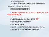 新教材同步辅导2023年高中生物第3章基因工程第2节基因工程的基本操作程序课件新人教版选择性必修3