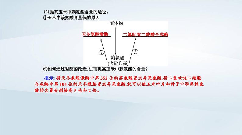 新教材同步辅导2023年高中生物第3章基因工程第4节蛋白质工程的原理和应用课件新人教版选择性必修304