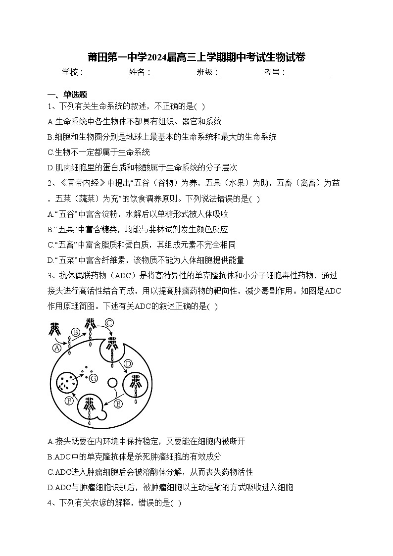 莆田第一中学2024届高三上学期期中考试生物试卷(含答案)01