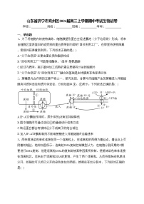 山东省济宁市兖州区2024届高三上学期期中考试生物试卷(含答案)