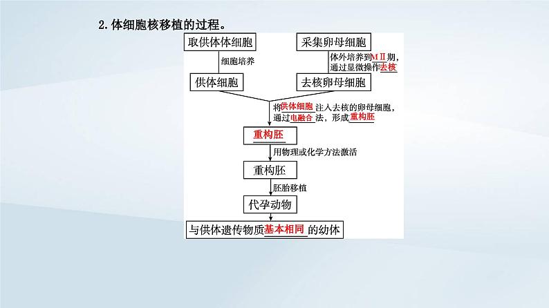 新教材同步辅导2023年高中生物第2章细胞工程第2节动物细胞工程第3课时动物体细胞核移植技术和克炉物课件新人教版选择性必修304