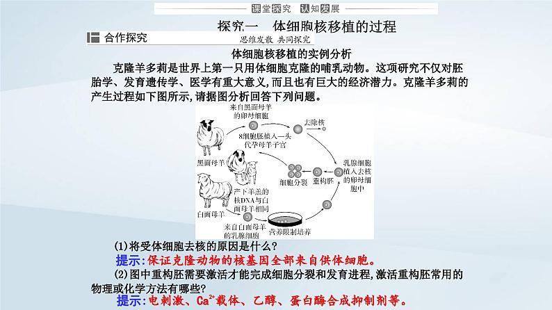 新教材同步辅导2023年高中生物第2章细胞工程第2节动物细胞工程第3课时动物体细胞核移植技术和克炉物课件新人教版选择性必修306