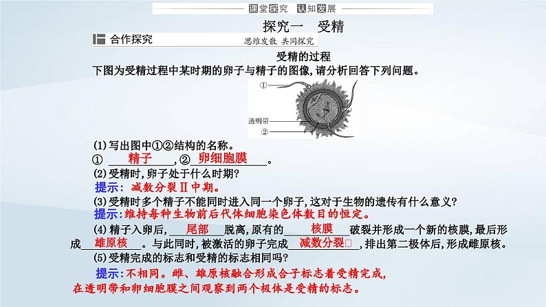 新教材同步辅导2023年高中生物第2章细胞工程第3节胚胎工程第1课时胚胎工程的理论基次课件新人教版选择性必修3第7页