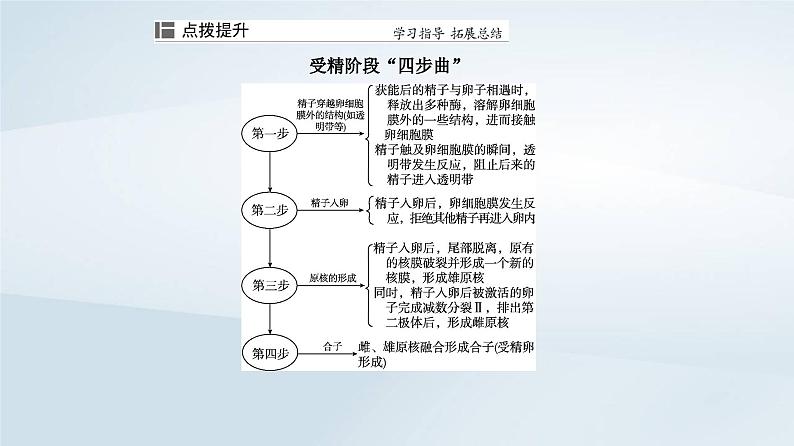 新教材同步辅导2023年高中生物第2章细胞工程第3节胚胎工程第1课时胚胎工程的理论基次课件新人教版选择性必修3第8页