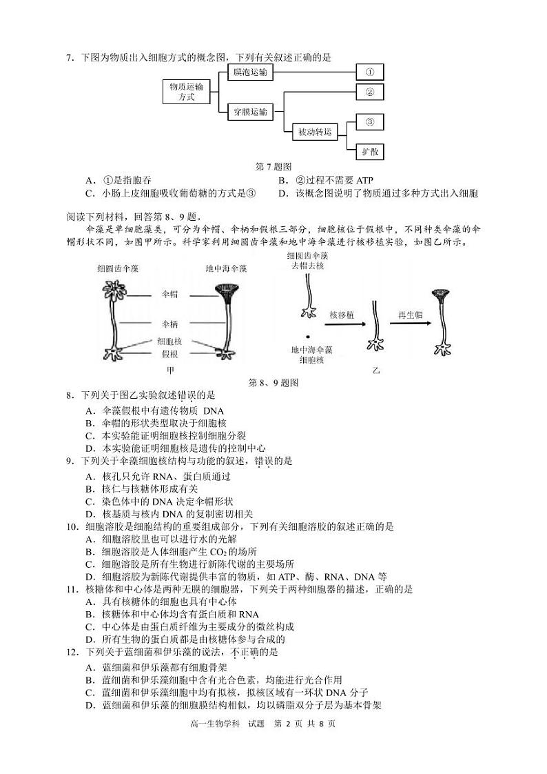 2024浙江省浙南名校联盟高一上学期12月联考试题生物PDF版含答案02