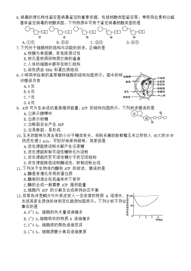 河北省保定市部分高中2023-2024学年高一上学期12月期中生物试题第2页