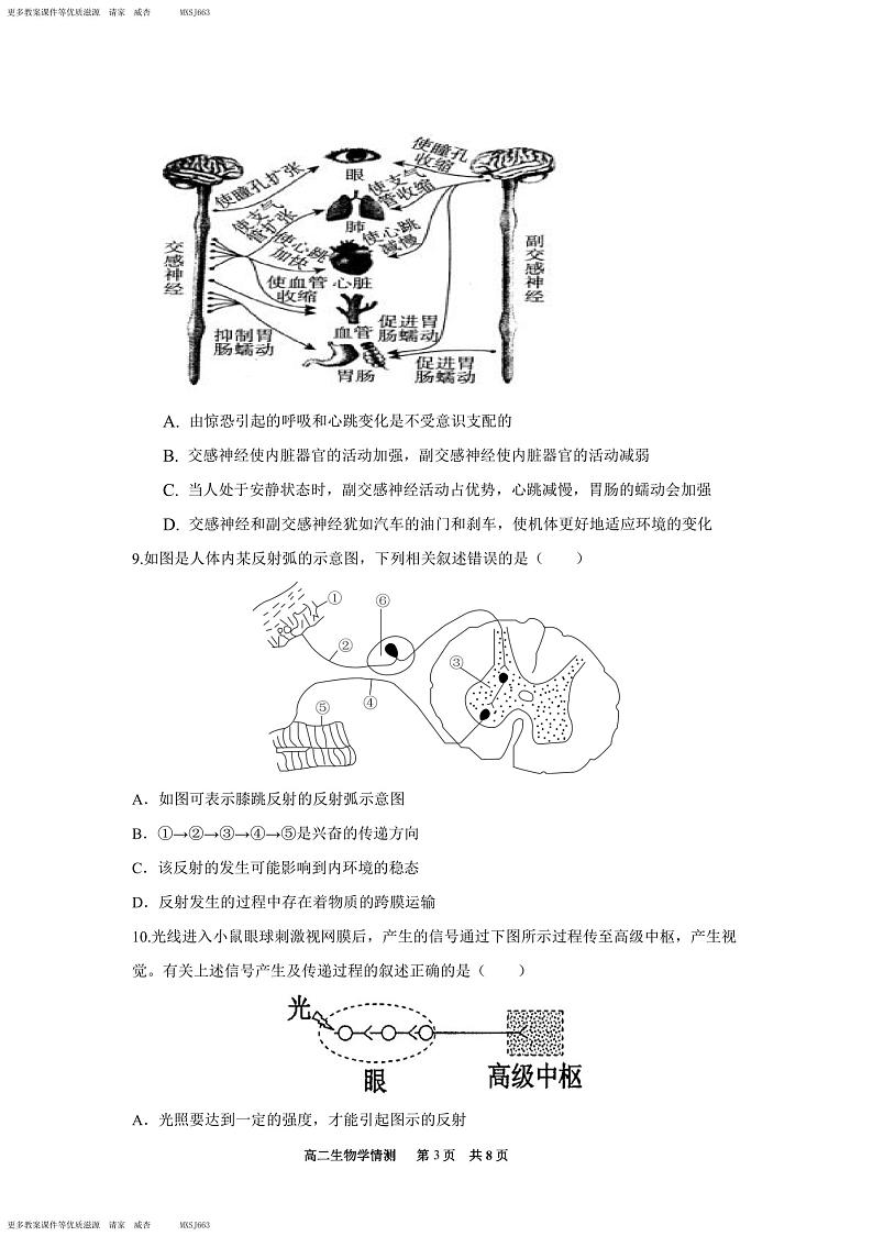 广东省广州市第六十五中学2023-2024学年高二上学期10月月考生物试题第3页