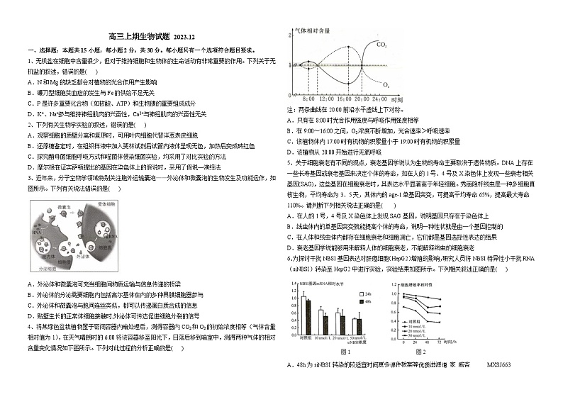 山东省威海市文登区2024届高三上期阶段测试生物试题（12月）第1页