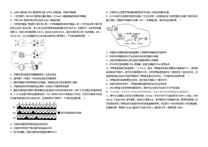 山东省威海市文登区2024届高三上期阶段测试生物试题（12月）第2页