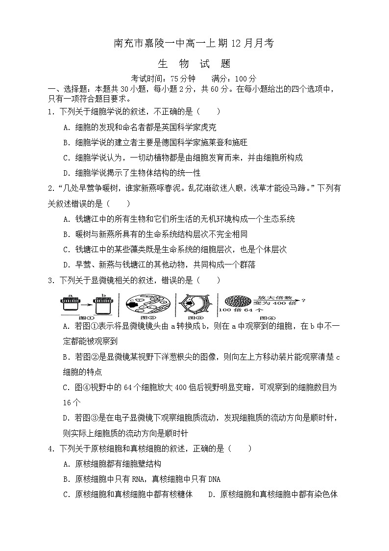 四川省南充市嘉陵第一中学2023-2024学年高一上学期12月月考生物试题01