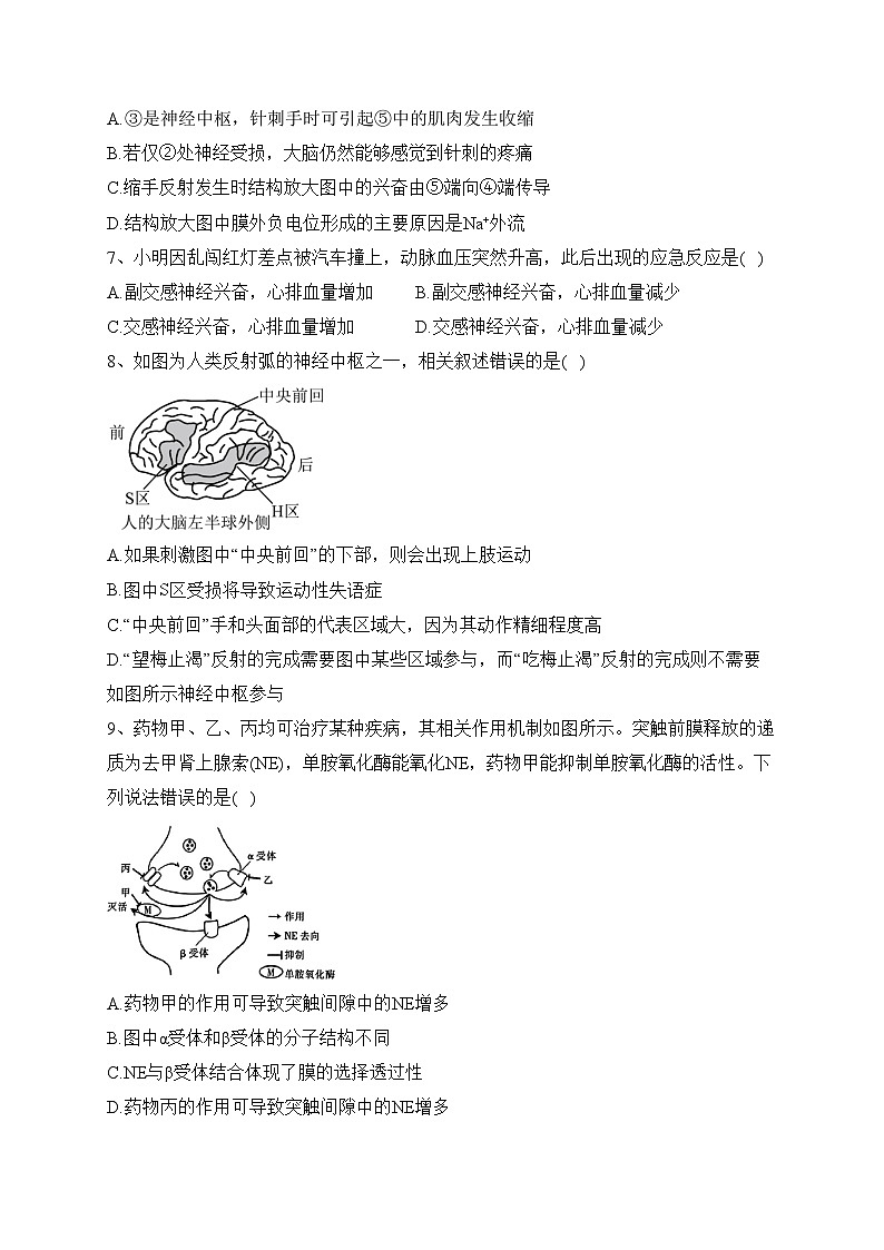 江西省上高二中2023-2024学年高二上学期第二次月考生物试卷(含答案)第3页