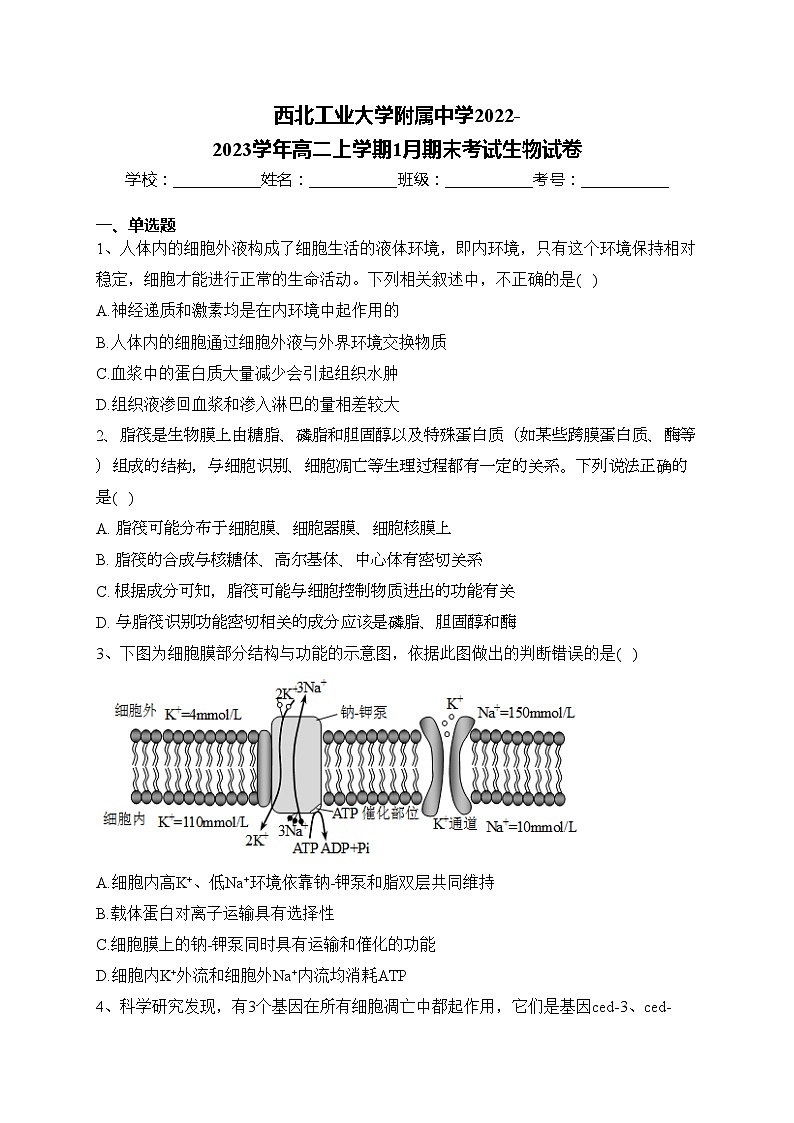 西北工业大学附属中学2022-2023学年高二上学期1月期末考试生物试卷(含答案)第1页