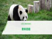 高中必修二生物第1章《遗传因子的发现》复习ppt课件3-统编人教版